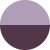 Hongqi H5 pink/purple